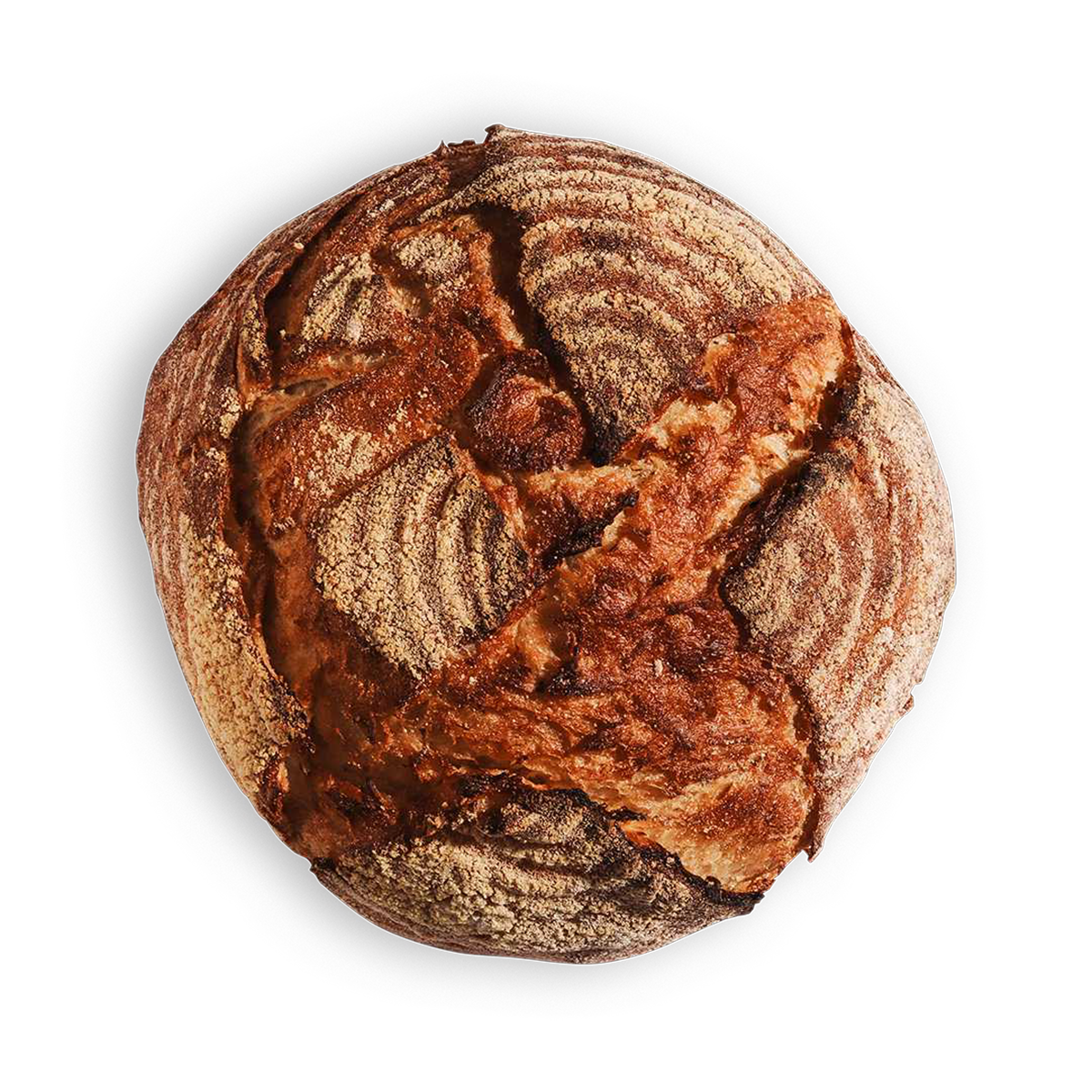 Corn Sourdough