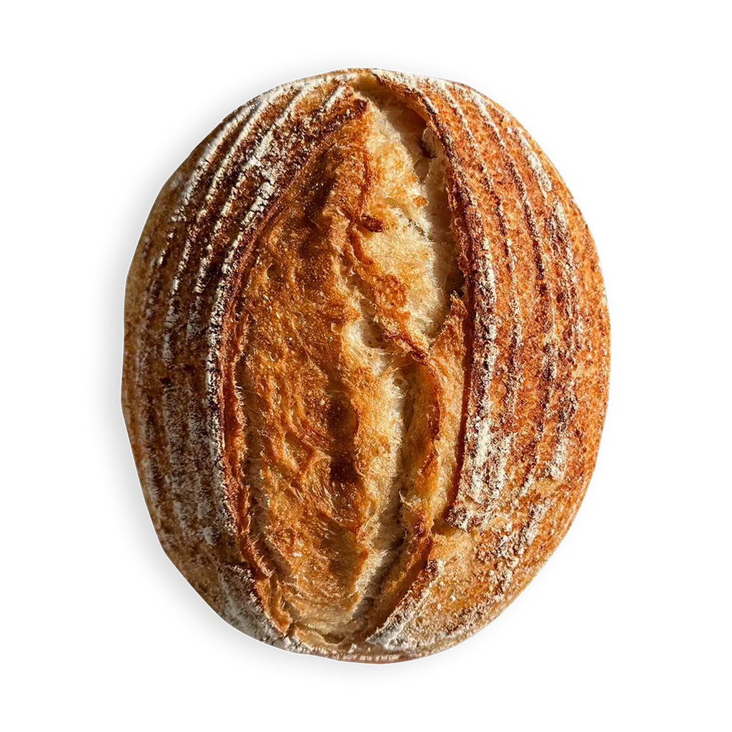 Whole Wheat Sourdough