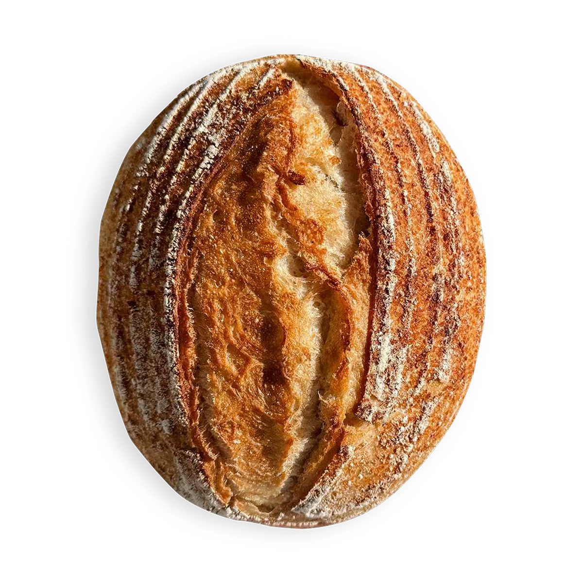 Whole Wheat Sourdough