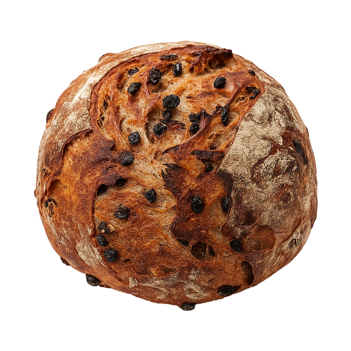 Cinnamon Walnut Raisin Sourdough